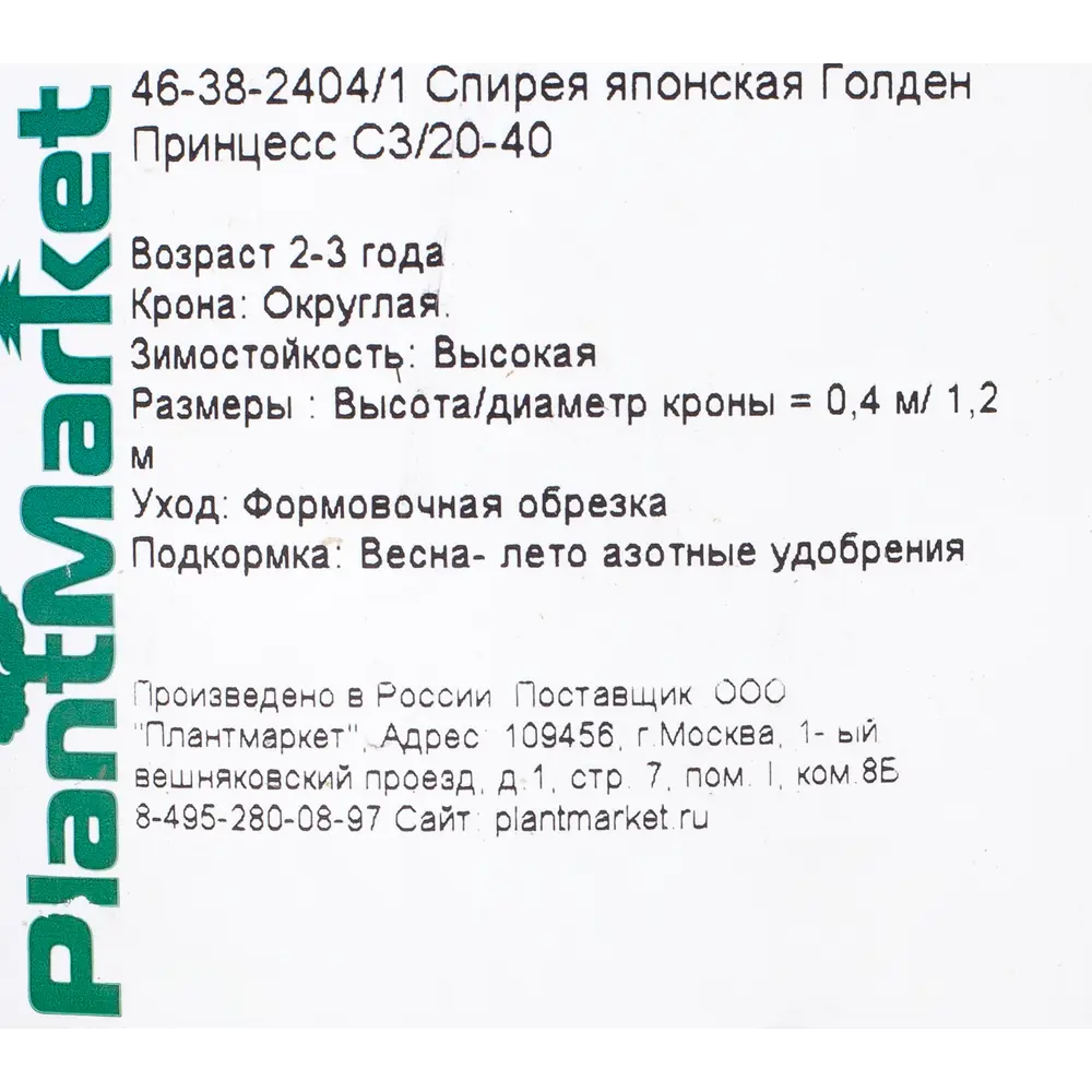 Спирея японская «Голден Принцесс», С3/20-40 см 18468728 STLM-2152483 Santreyd  - Вид №1