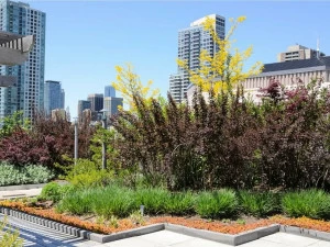 TEGOLA CANADESE Система садовой крыши