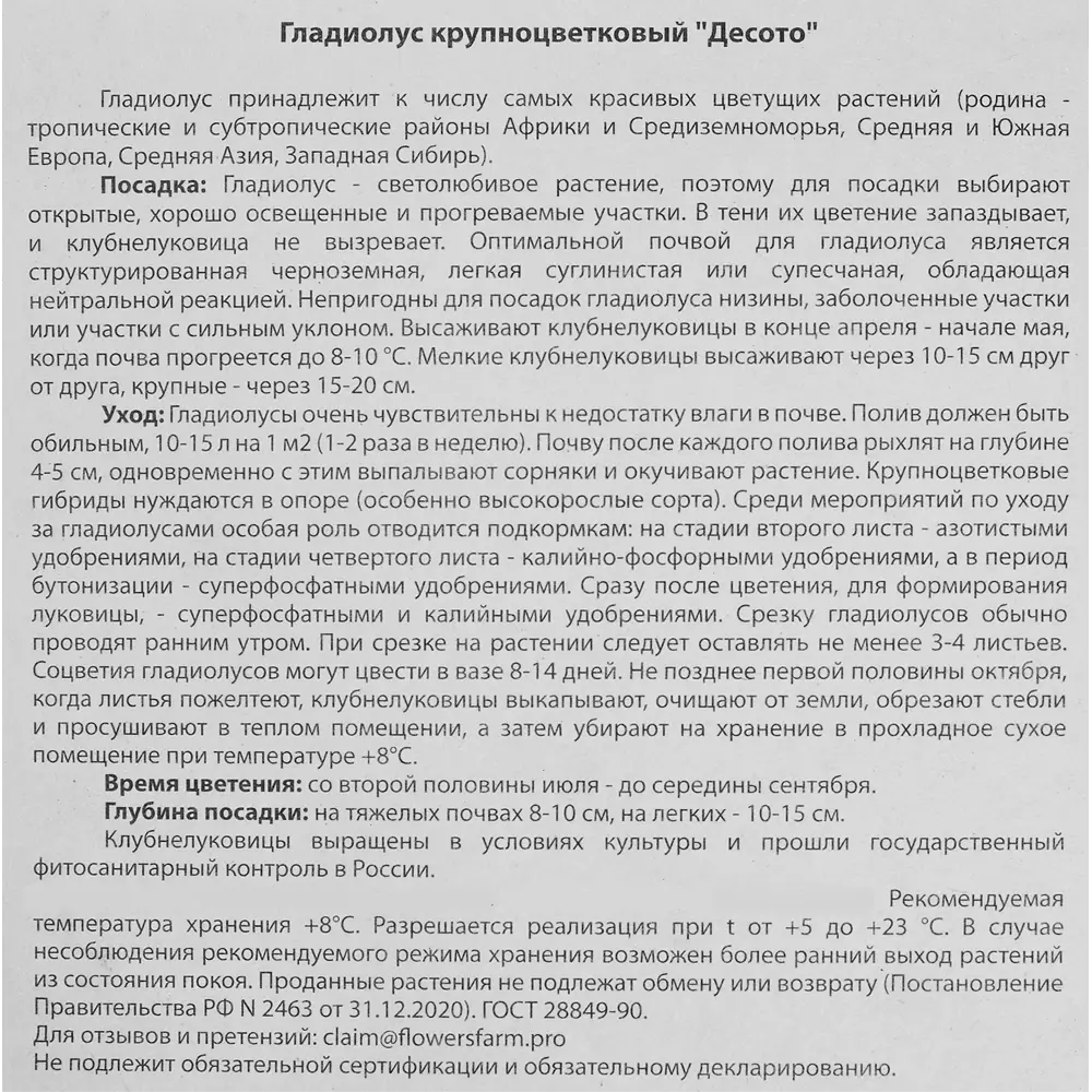 Гладиолус крупноцветковый Десото 7 шт. 83628482 STLM-2150446 BLOOMING LIFE  - Вид №2