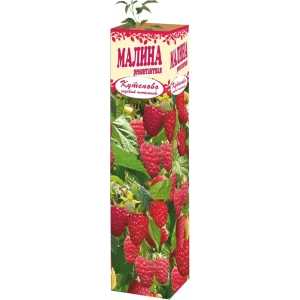 Малина ремонтантная 9x35 см 83539287 STLM-2194328
