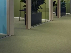 Kasthall Однотонный ковер  30410