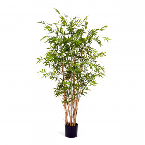 2000983195708 Бамбук новый японский Элегант 150 см LINDDNA