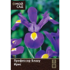 Ирис голландский Профессор Блаау луковицы 7/8 8 шт 89376533 STLM-2204181