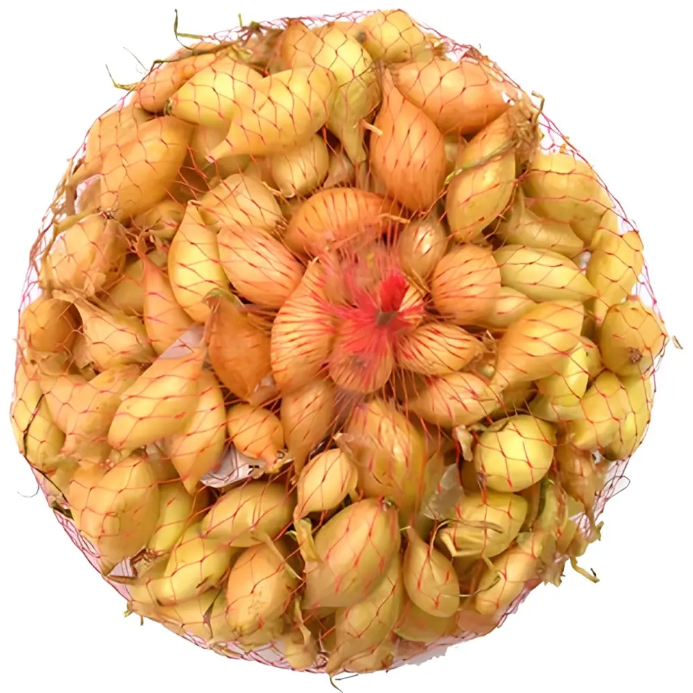 Лук-севок озимый Сеншуй Елоу Глоб луковицы 15 мм 0.45 кг Santreyd STLM-2135693