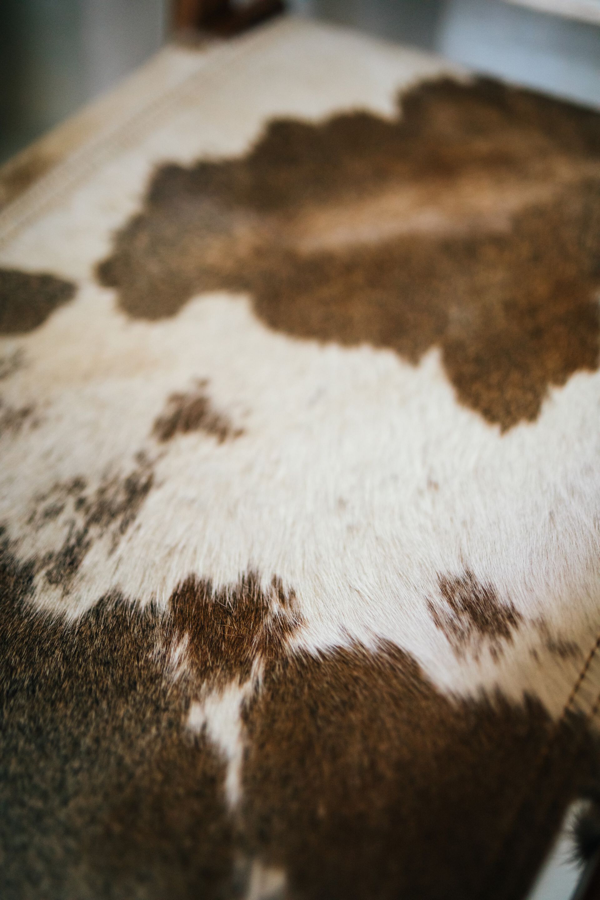 Кресло из коровьей кожи с подлокотниками POMAX BENISSA ARCH-00024339 - Вид №7