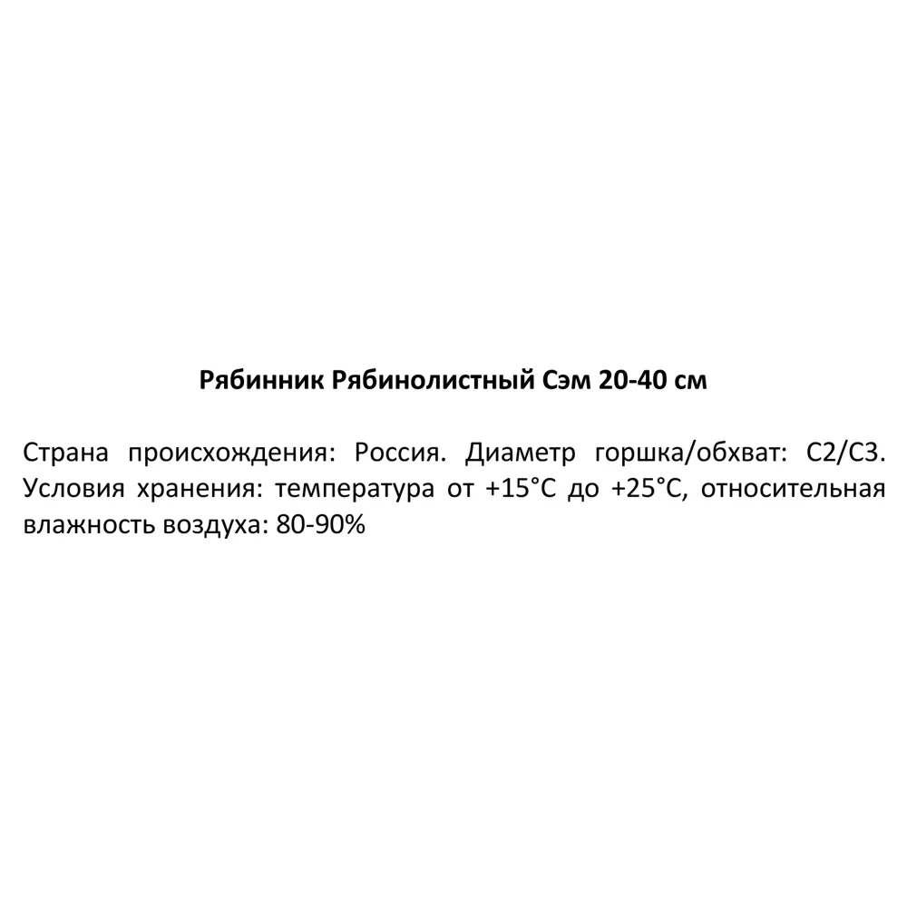 Рябинник Рябинолистный Сэм ø19 h20-40 см 85320142 STLM-2173634 Santreyd 