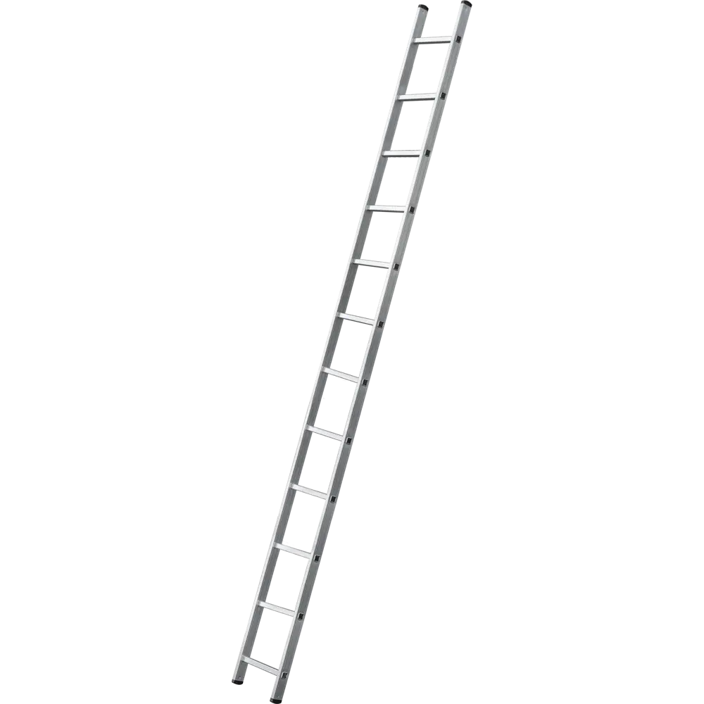 Лестница приставная 1-секционная DILWIS 12 ступеней максимальная нагрузка 150 кг STLM-2159153 - Вид №1
