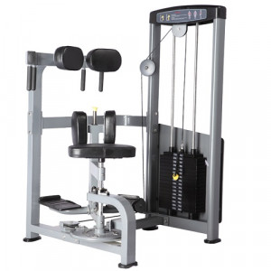 D-011 Bronze gym d-011 торс-машина Bronze Gym D серия