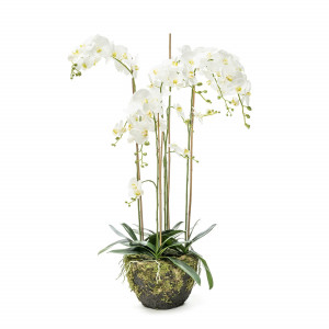 210210-10 ABHIKA ВАЗА ДЛЯ РАСТЕНИЙ PHALENOPSIS MOSS H145 WHITE