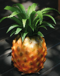 7260 338 a3 Искусственный ананас, 20 см, желто-зеленый H-andreas