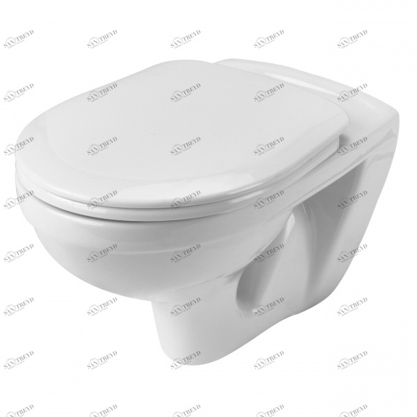 1016104 Подвесной унитаз настенный Белый SANTEK  Россия 