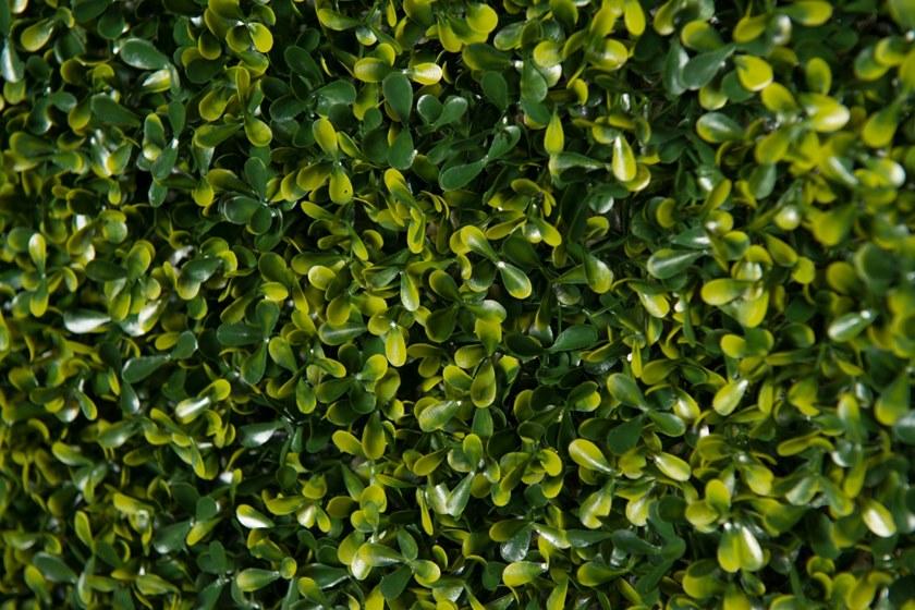 VGnewtrend Овощной каркас Vertical garden 1142348.60  - Вид №4