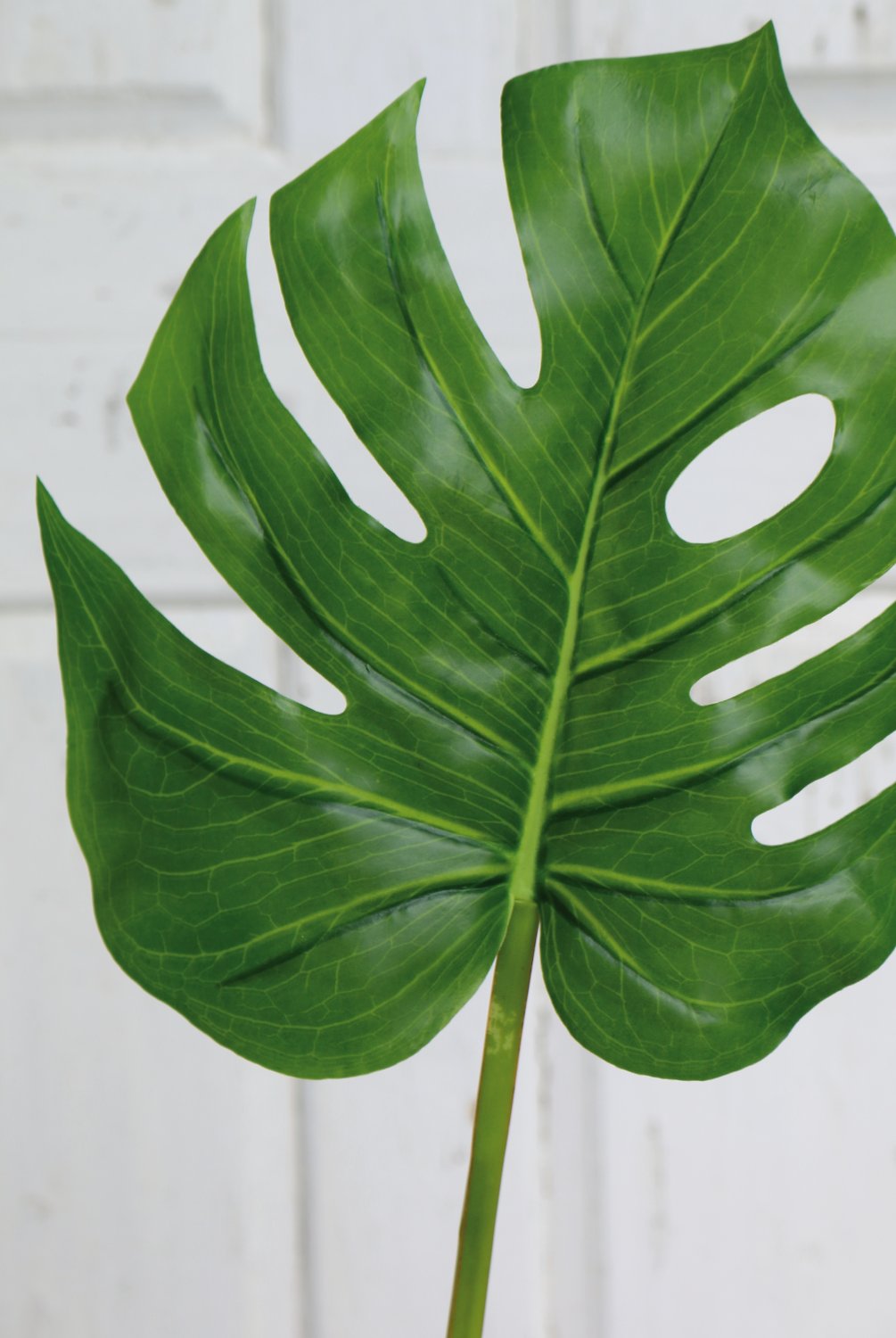 5886 883 a3 Пластиковый лист монстера, 78 см (лист 24 см), зеленый H-andreas  - Вид №1