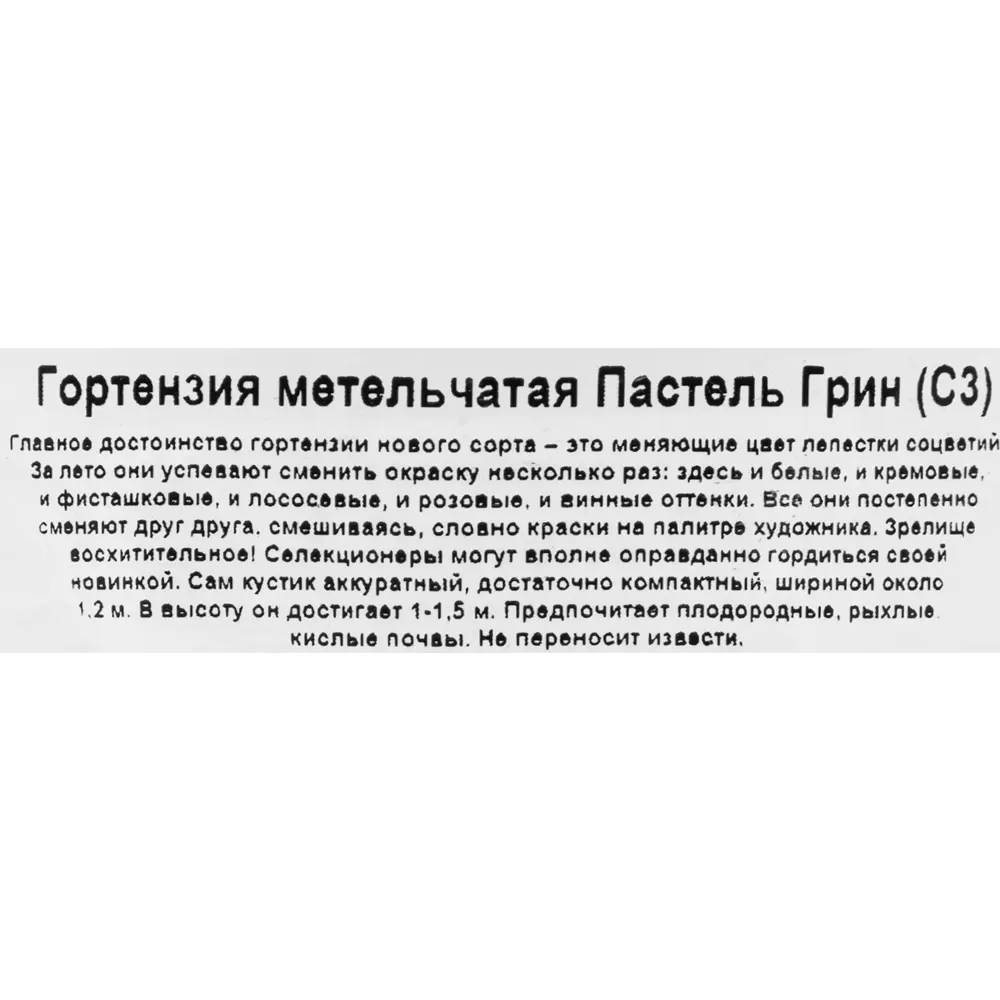 Гортензия метельчатая «Пастель Грин» С3 82360397 STLM-2069046 Santreyd  - Вид №1