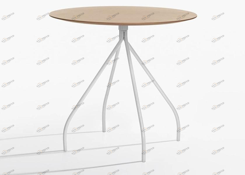 IOC project partners Круглый стол для переговоров Cordusio sun-id-1483744