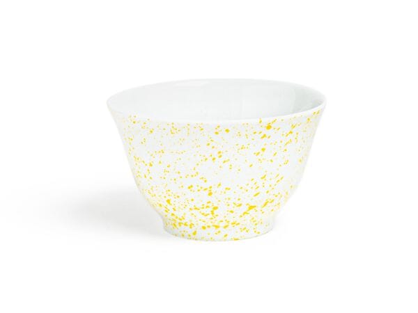 Фарфоровая чаша Non Sans Raison всплеск ARCH-00062095