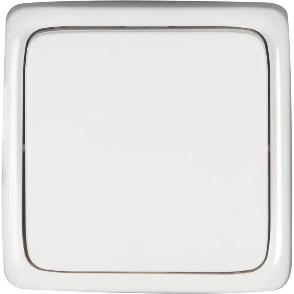 Выключатель накладной Ruca 1 клавиша, цвет белый Santreyd ЛЦ STLM-2119108