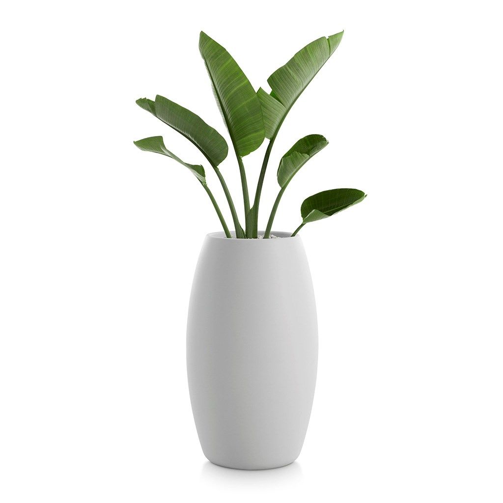 Высокий садовый горшок Diabla ARCH-00141162 - Вид №2