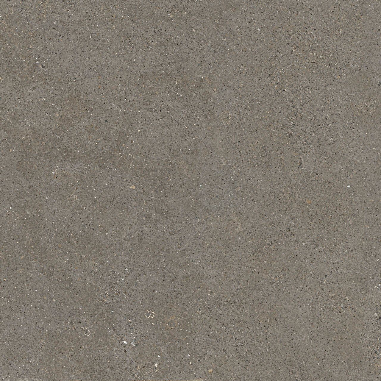 Пол / облицовка керамогранита с эффектом камня Fiandre сплошная ARCH-00087079 - Вид №22