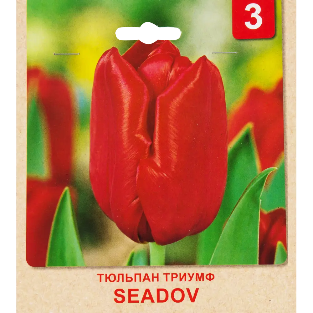 Тюльпан Триумф «Seadov» размер луковицы 10/11, 3 шт. 82365379 STLM-2181943 Santreyd 
