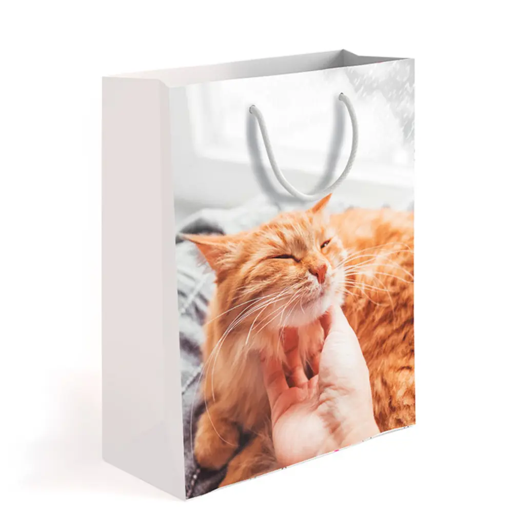 Пакет подарочный Симфония Домашний уют 32x26x12 см цвет белый STLM-2173593