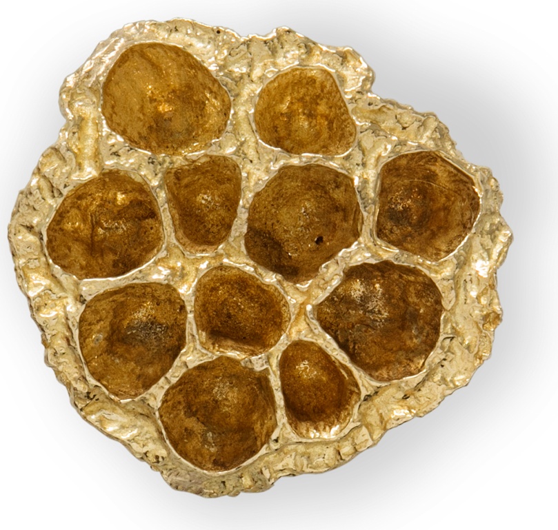 EA1022 Comb PULLCAST Earth Collection 