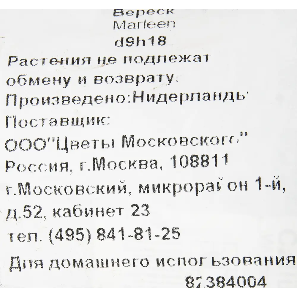 Вереск Марлин 9x18 см 82384004 STLM-2061150 Santreyd  - Вид №1