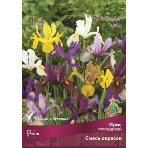ПОИСК Ирис голландский Бордо микс - луковицы для яркого сада 83597273
