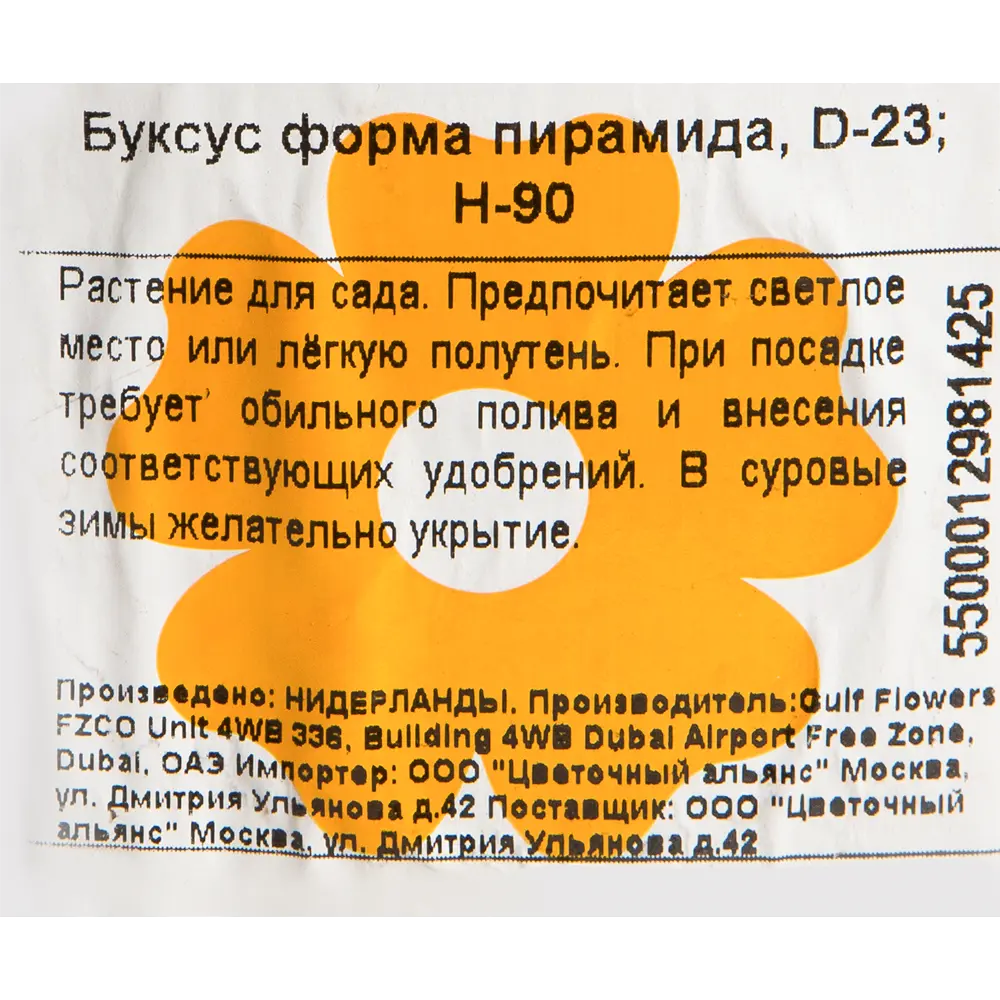 Буксус форма пирамида 23x90 см 82598152 STLM-2091112 Santreyd  - Вид №1