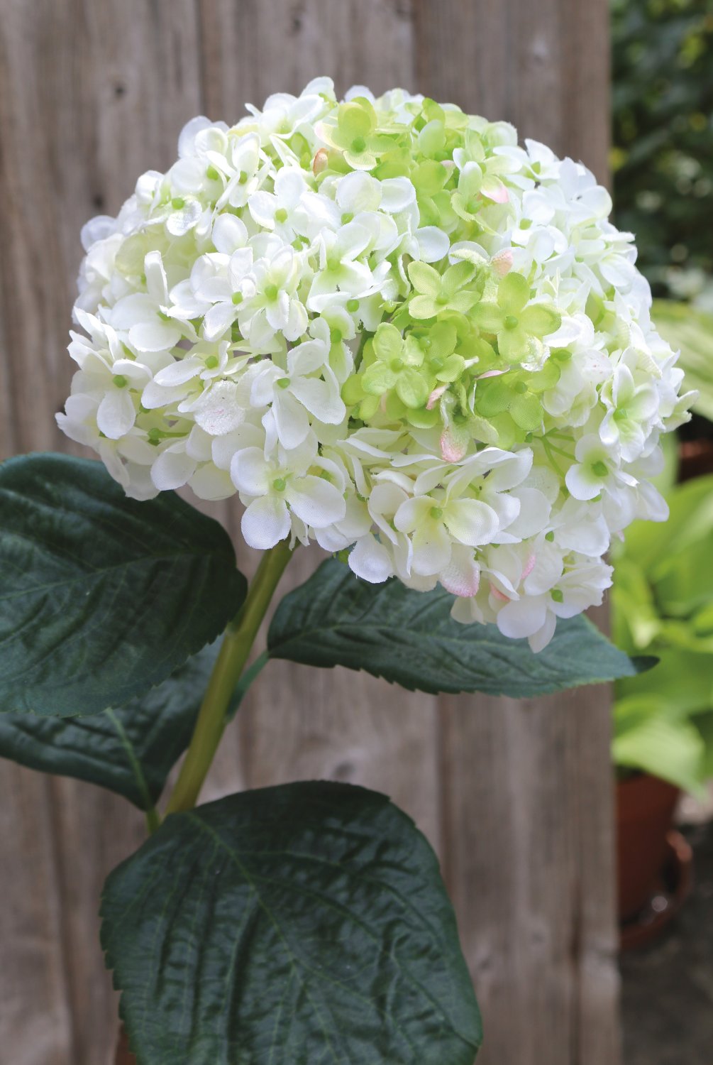 2271 708 a3 Гортензия искусственная, 60 см, бело-зеленая H-andreas 