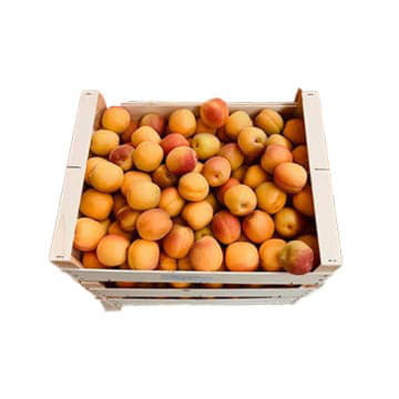 Абрикосы Шалах самолетом в ящике ~8 кг Santreyd 19499 - Вид №1
