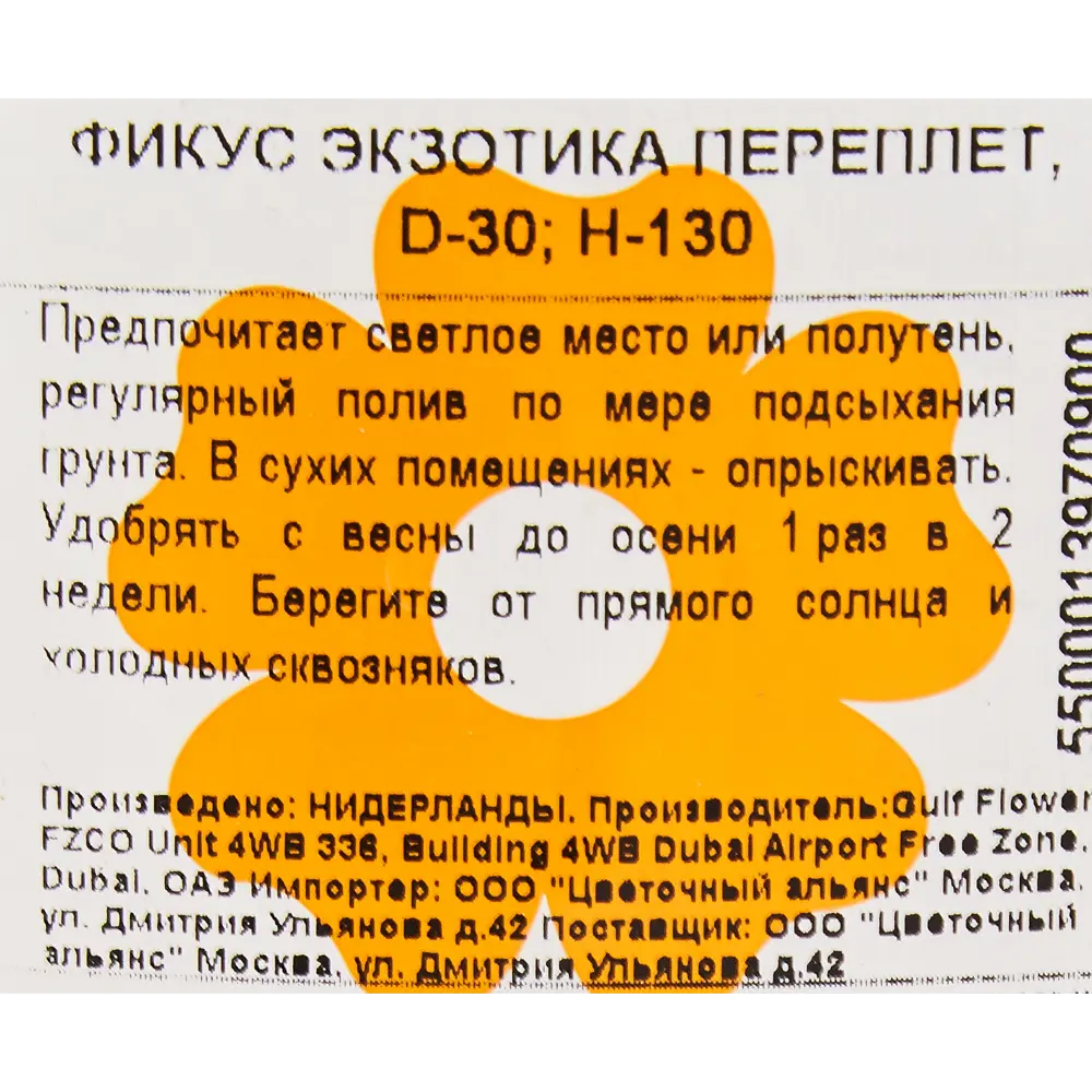 Фикус "Экзотика переплет" 30x130 см 82849686 STLM-2211403 Santreyd  - Вид №2