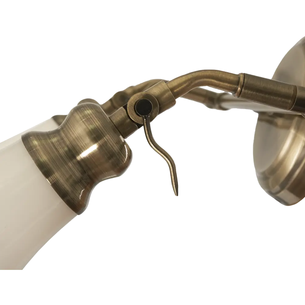 Спот поворотный Veno 2xE14x40 Вт металл цвет бронза Arte Lamp STLM-2114316 - Вид №3