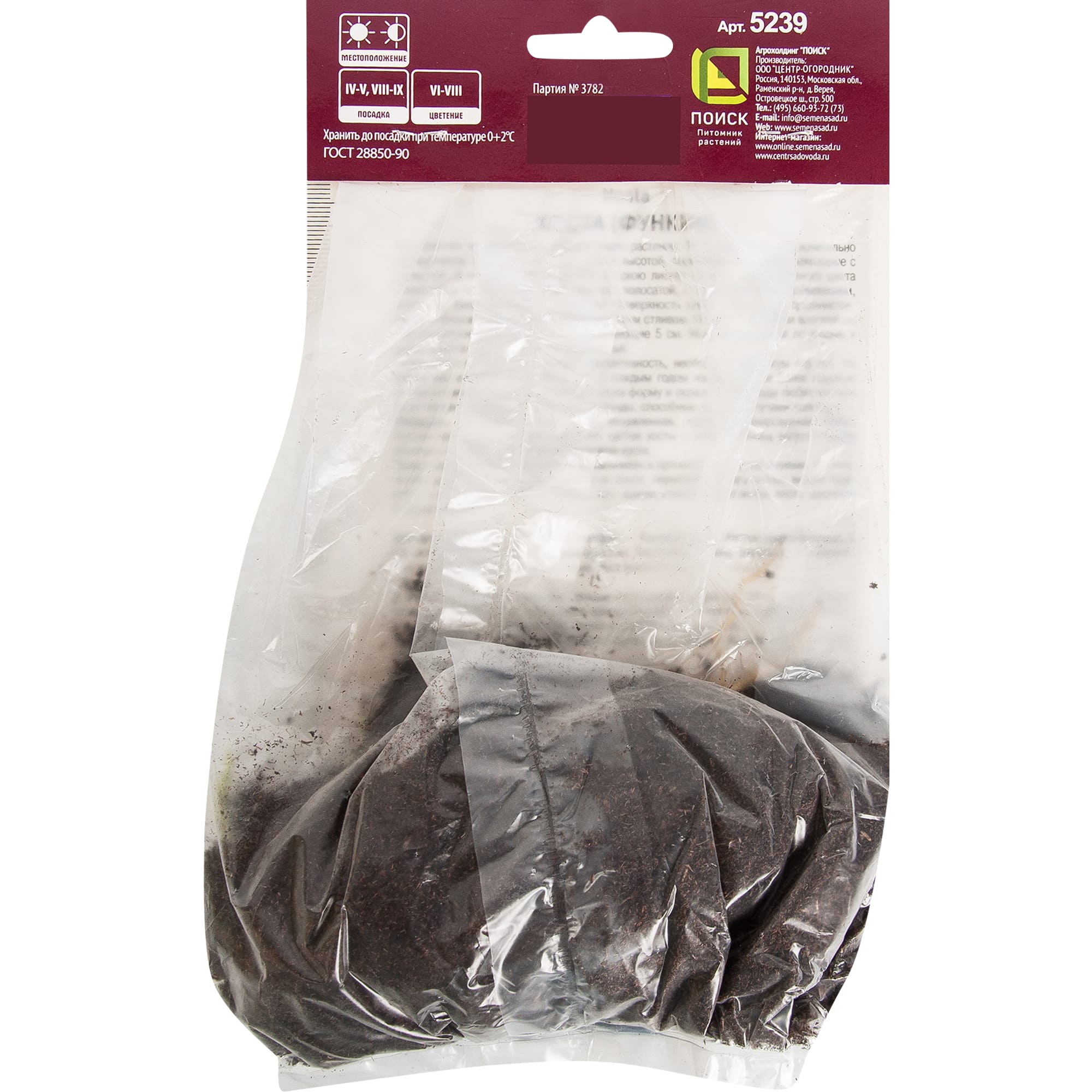 82319596 Хоста гибридная «Эмеральд Чарджер», размер луковицы I Santreyd  - Вид №1