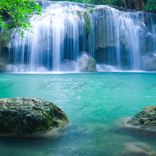 A1-017 Фотообои DIVINO Collection A 2.7х2 м A1017