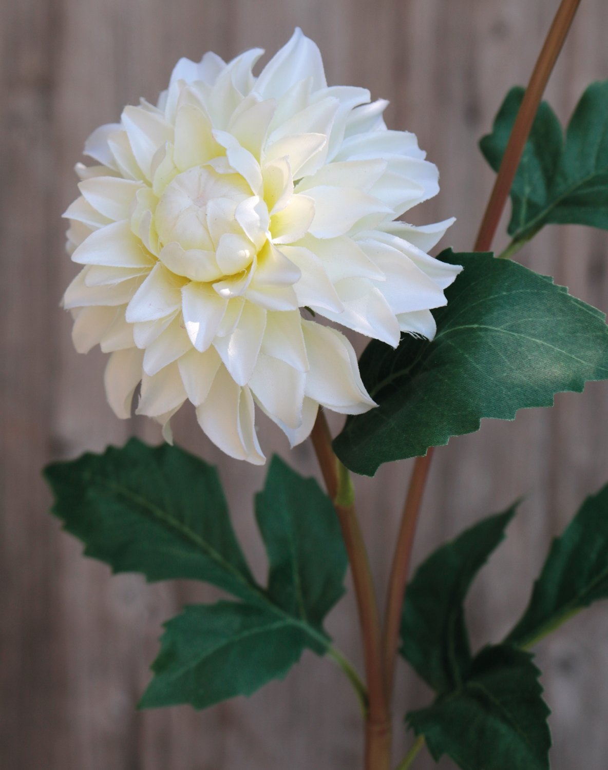 2451 778 a3 Пластиковый георгин, 56 см, бежево-белый H-andreas  - Вид №3