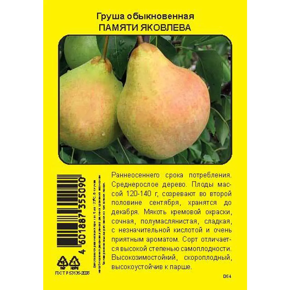 Груша Памяти Яковлева пакет h90 см 86544096 STLM-2199773 Santreyd 