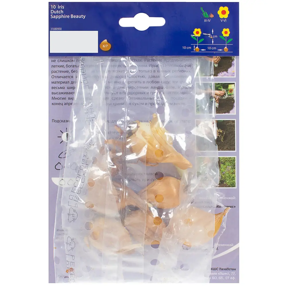 Ирис «Сапфир Бьюти» 6/7 (SAPPHIRE BEAUTY) Santreyd STLM-2072919 - Вид №1