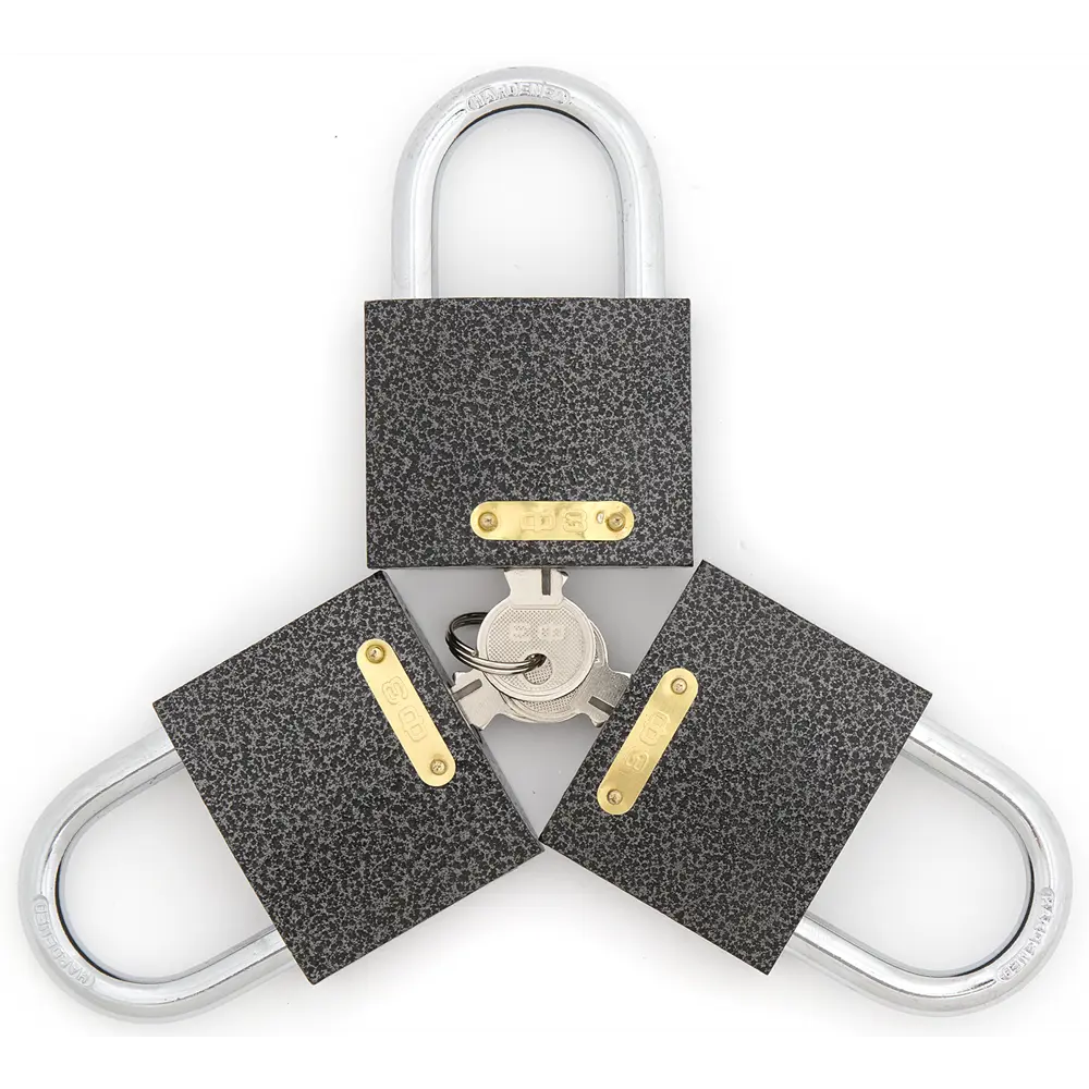 Набор навесных замков 303F-60 3P6K 63x48 мм, чугун Santreyd STLM-2151287 - Вид №4