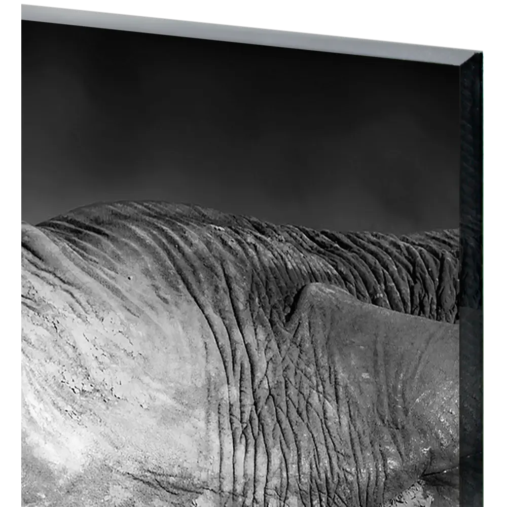 Картина на стекле "Семейство слонов" 80x60 см 82924226 STLM-2074143 ARTABOSKO  - Вид №1