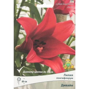 Лилия лонгифлорум Дивайн 85205735 STLM-2200168