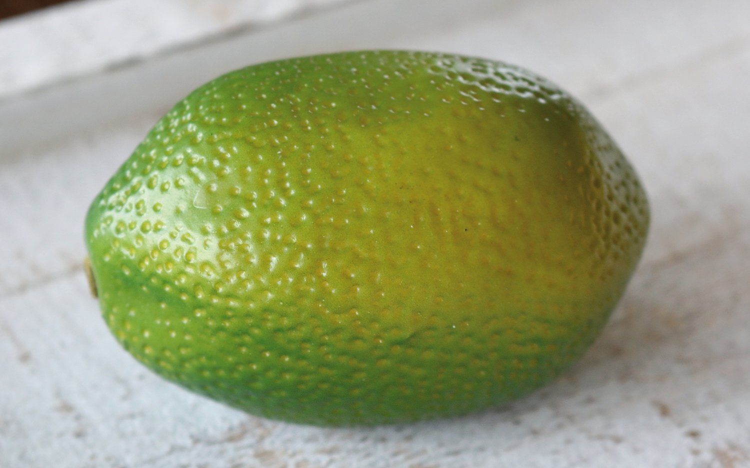 7106 883 a3 Искусственный лайм, 8 х 5 см, зеленый H-andreas  - Вид №1