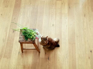 Bruno Parquet Готовый дубовый паркет Comfort