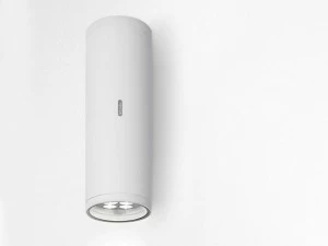 Artemide Светодиодный настенный светильник прямого света для наружного освещения из алюминия Calumet