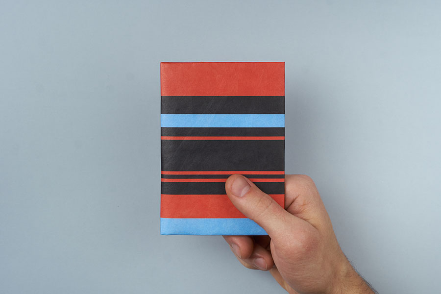 NС-031 Обложка на паспорт new tabby, в полоску New wallet  - Вид №1