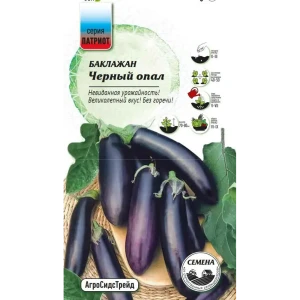 Семена овощей Патриот баклажан Черный опал 20 шт. 89405271 STLM-2035370