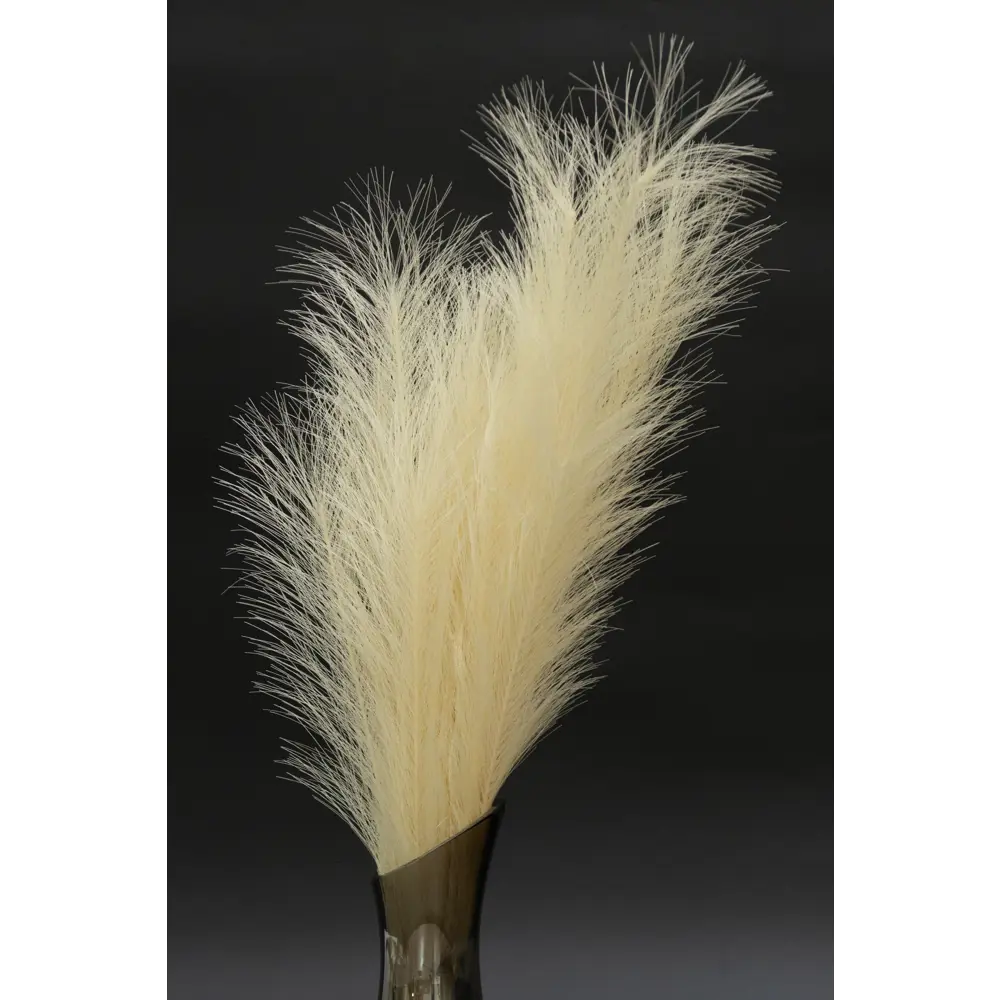 Декоративный сухоцвет 60 см бежевый Santreyd STLM-2087021 - Вид №4