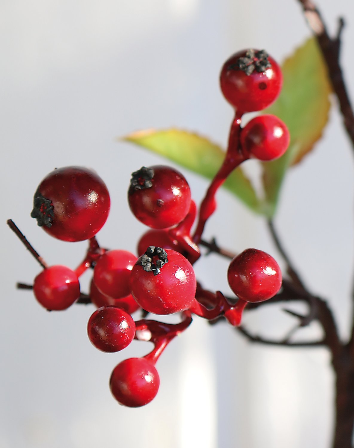 1582 444 a3 Стебель искусственной ягоды, 70 см, красный H-andreas  - Вид №1