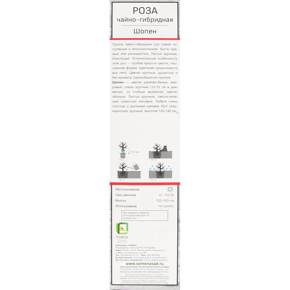 Роза чайно-гибридная Шопен в тубе Поиск Инвест 18348216 STLM-2186569 Santreyd  - Вид №2