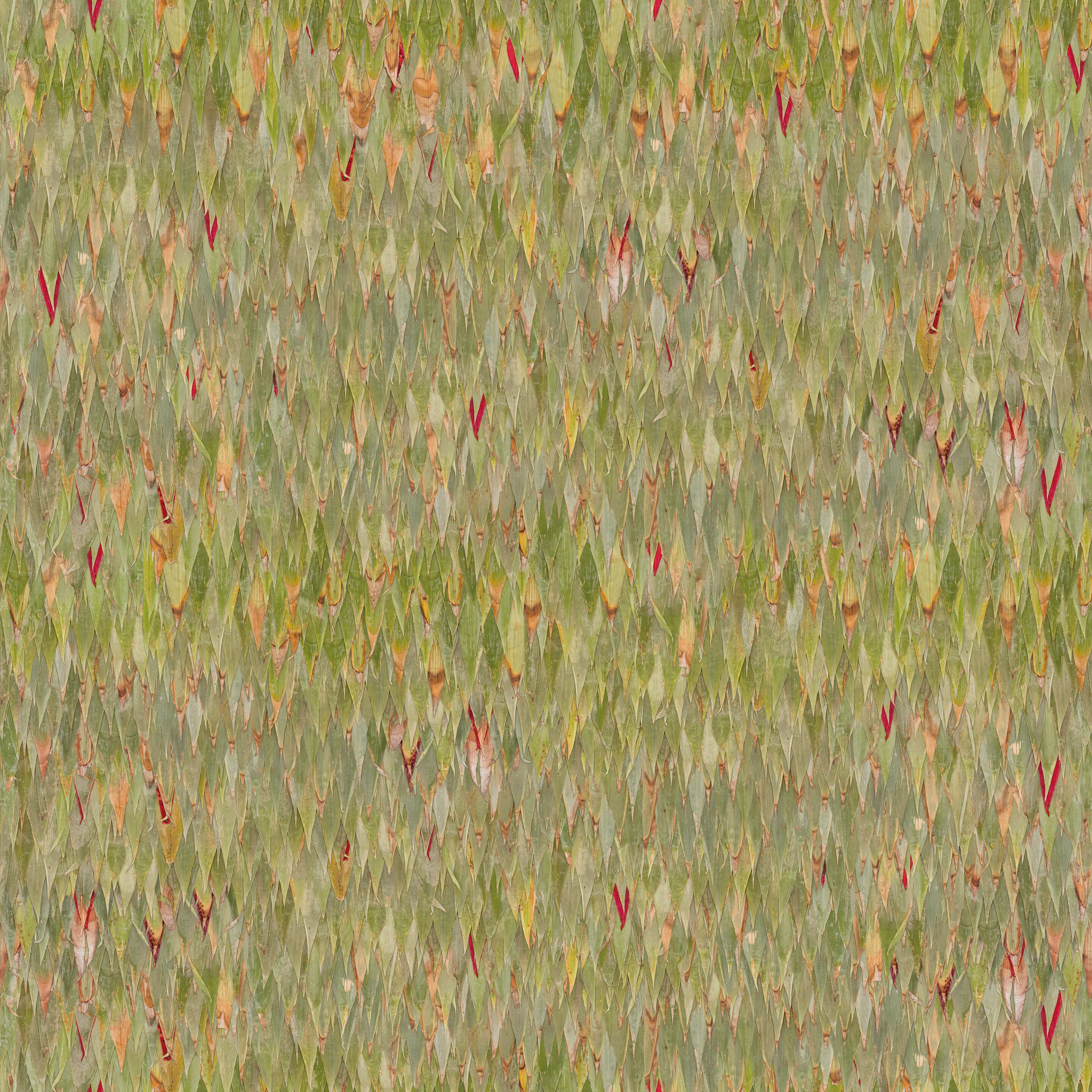 Обои с цифровой печатью Inkiostro Bianco Флора ARCH-00138984 - Вид №1